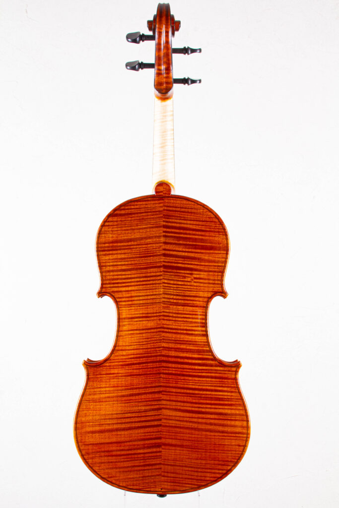 viola2025back1