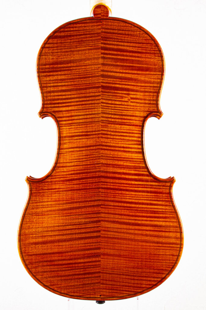 viola2025back2