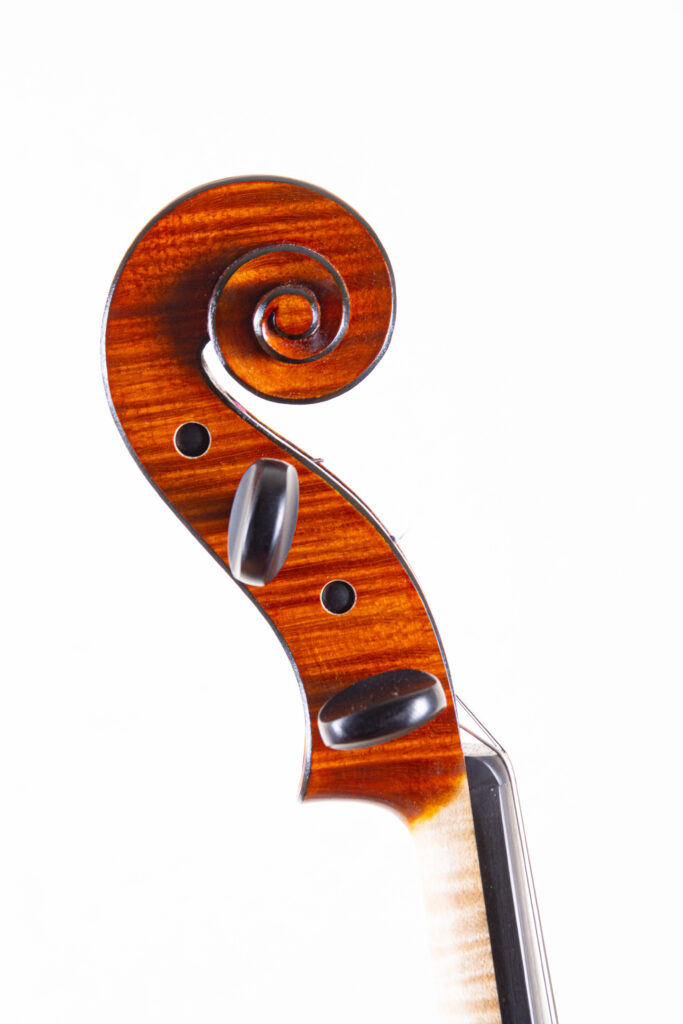 viola2025scroll1
