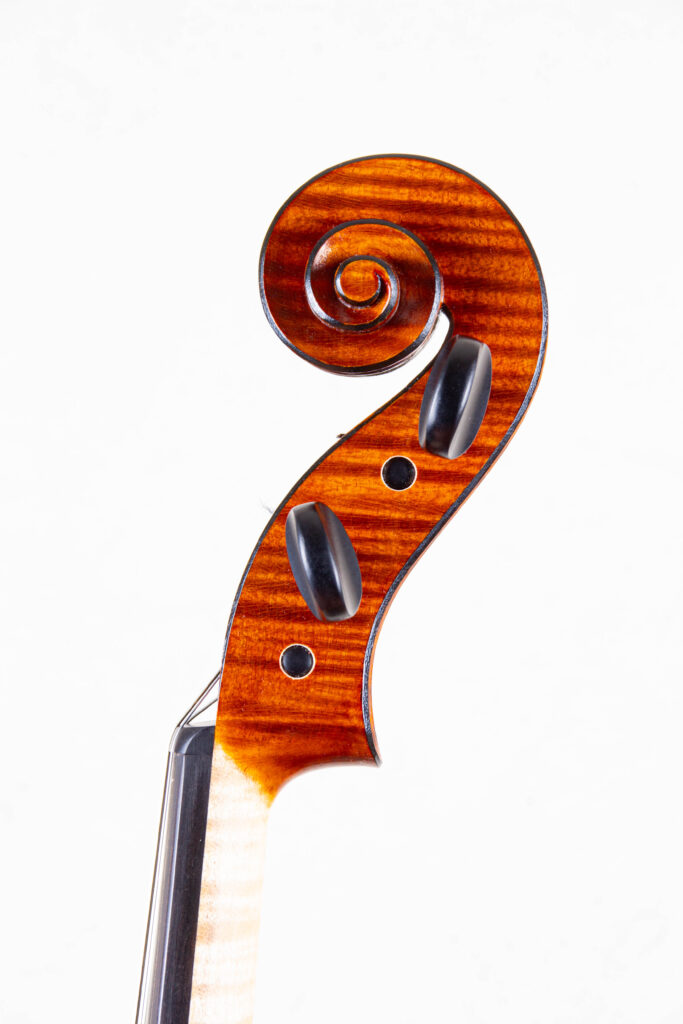 viola2025scroll2