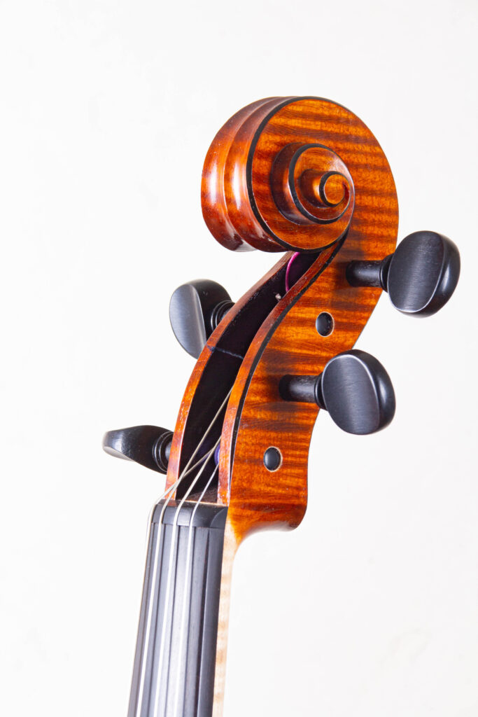 viola2025scroll3