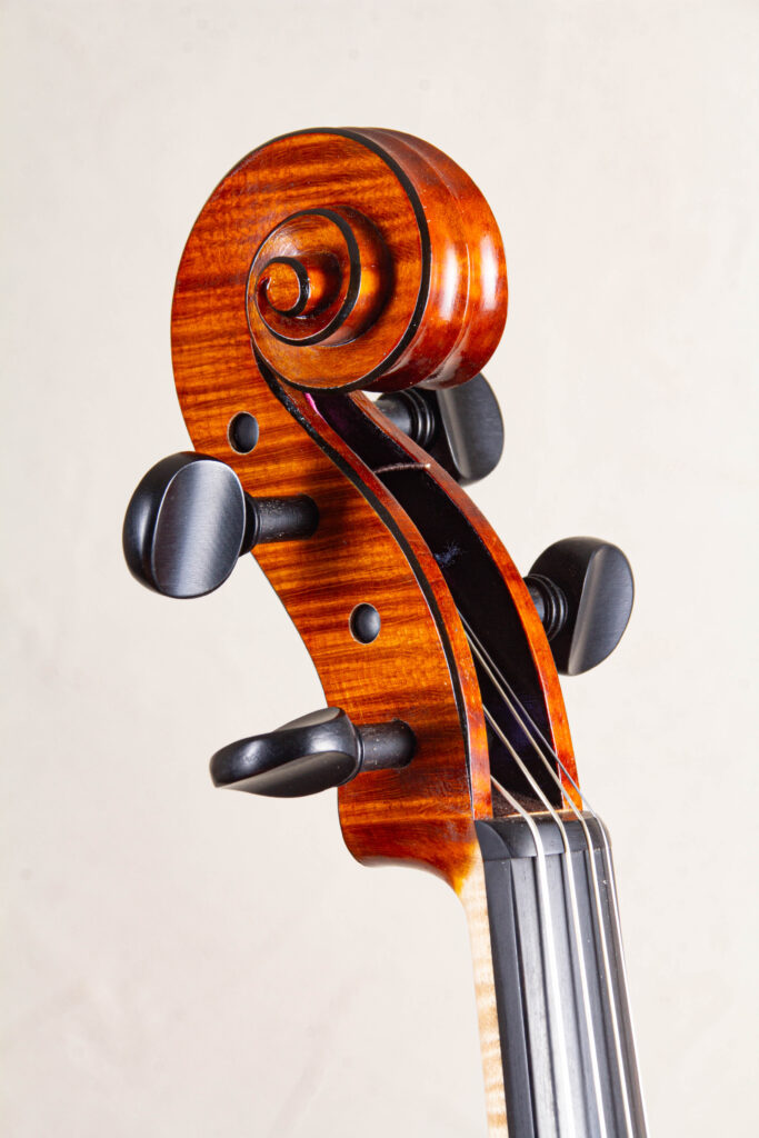 viola2025scroll4