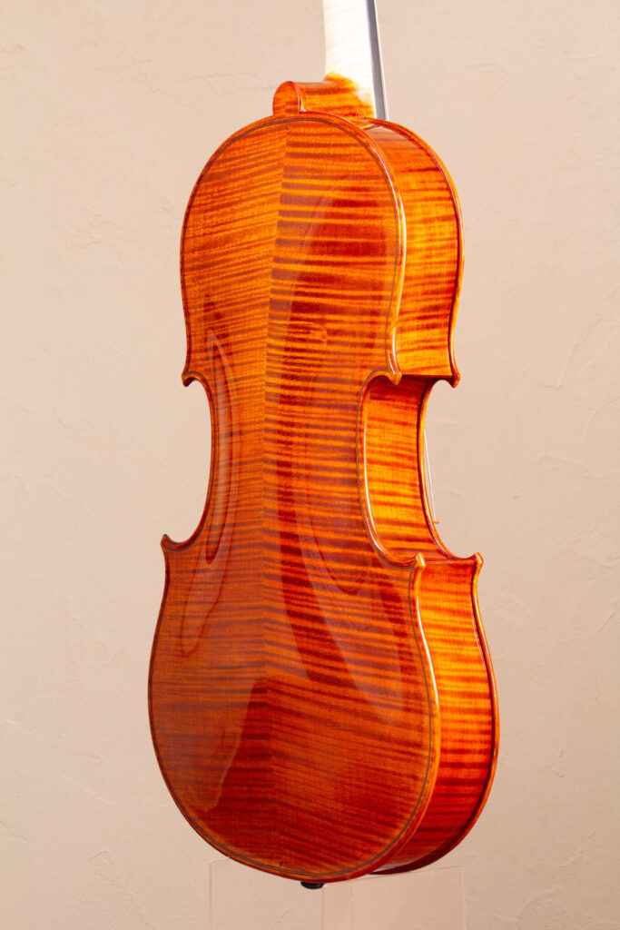 viola2025back3