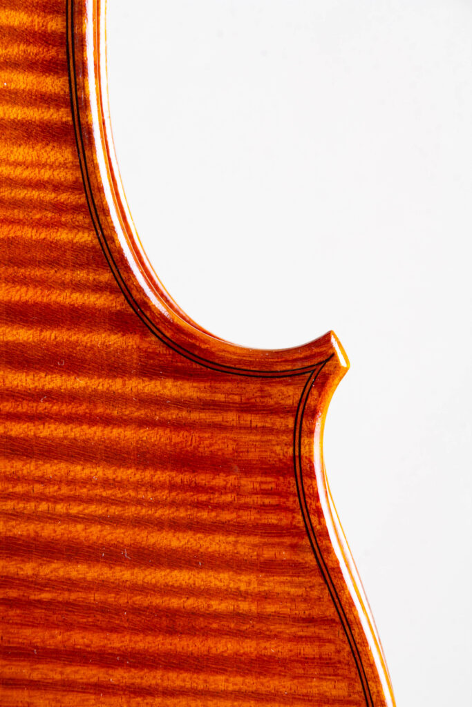 viola2025punto