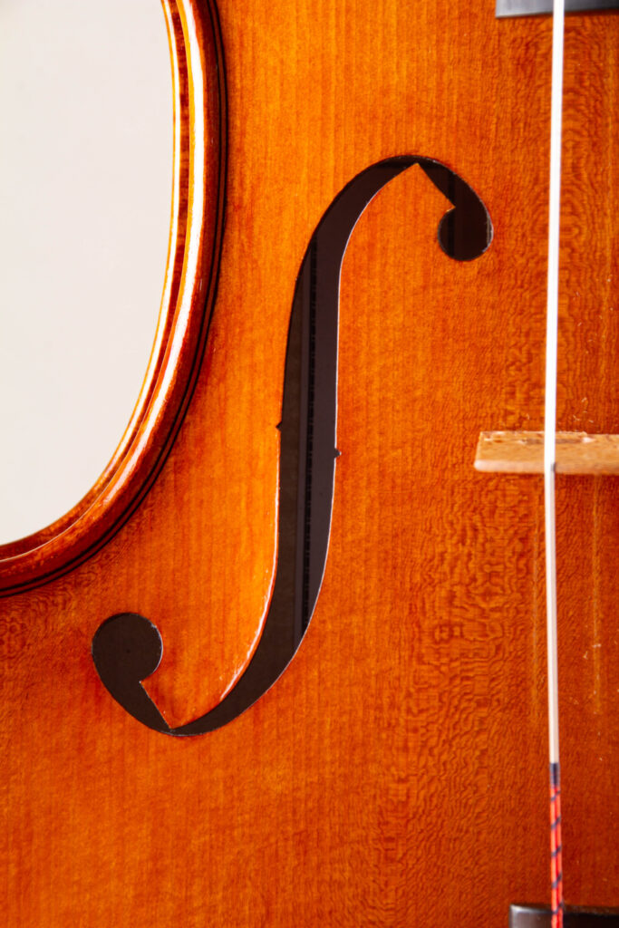 viola2025f